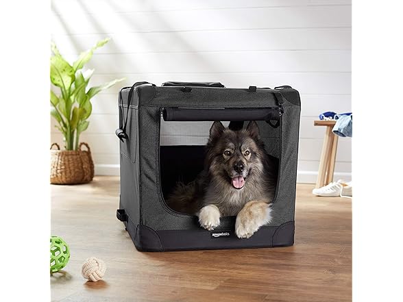 AmazonBasics Licensing Folding Portable Dog Carrier