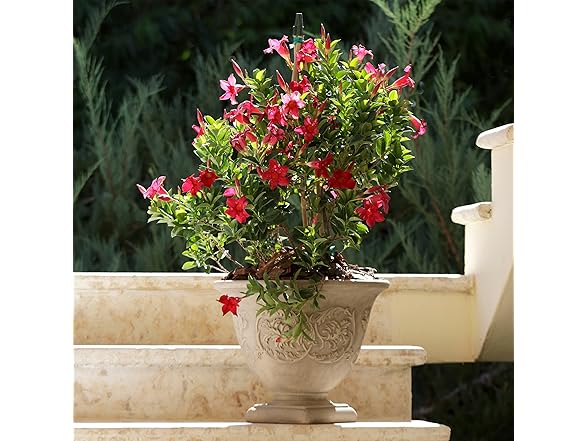 Sunnydaze 16-Inch Darcy Round Plant Pot