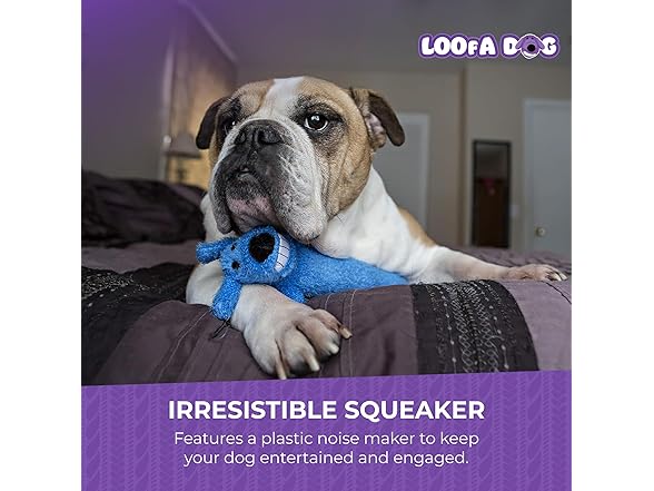 Multipet Original Loofa Dog Plush Toy