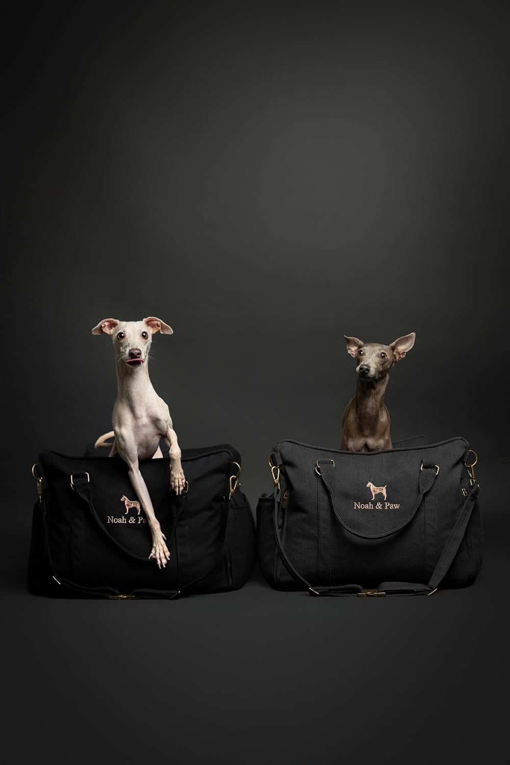 NOAH & PAW Canvas Dog Car Seat Carrier - Gallery 10