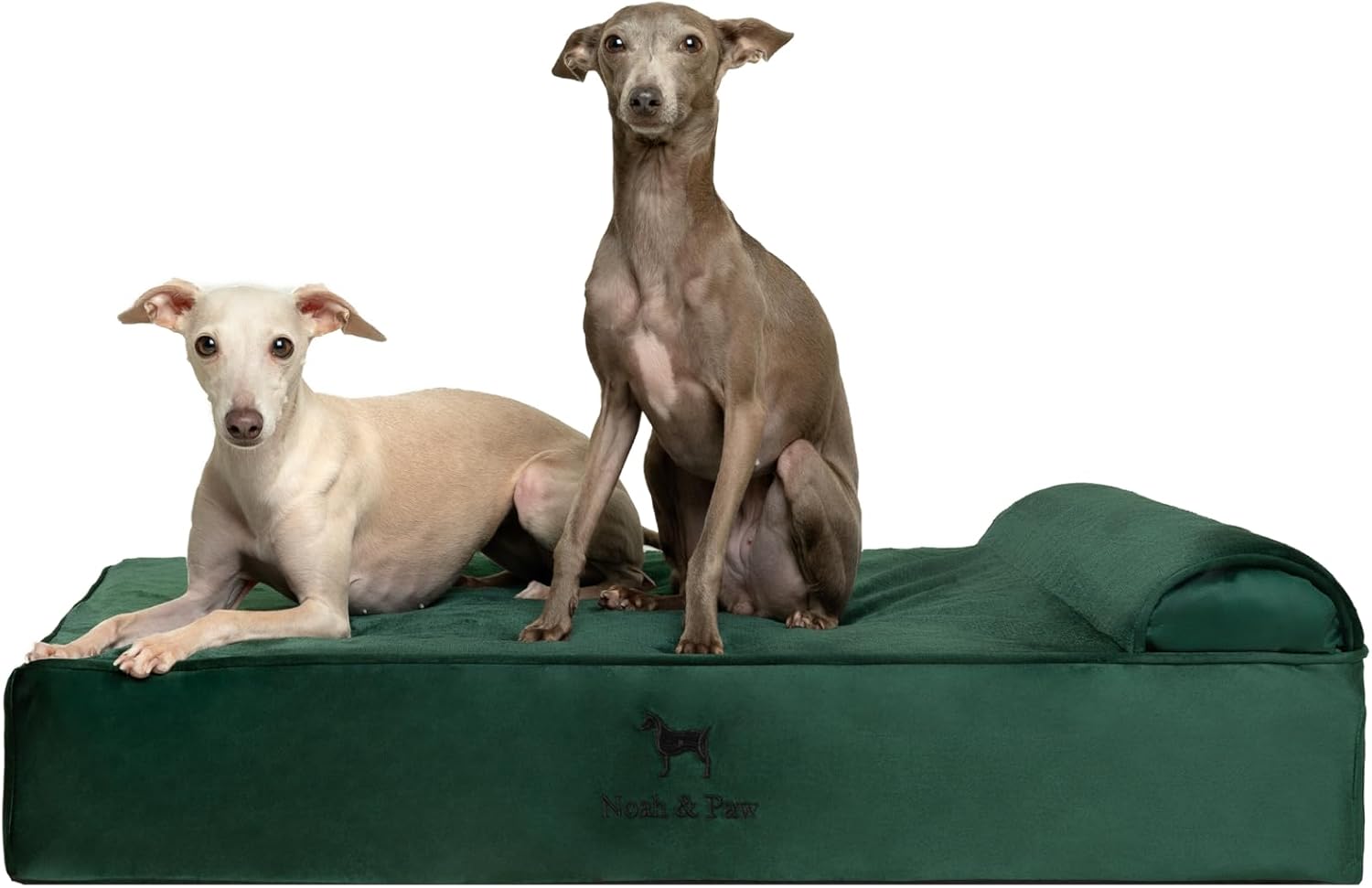 NOAH & PAW Orthopedic Dog Beds- Large - Gallery 12