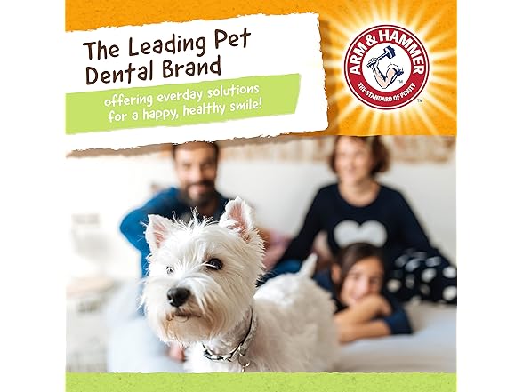 Arm & Hammer Rock-N-Roller Stuffable Dental Chew