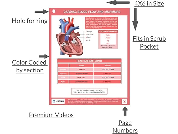 Laminated Nursing Reference Cards
