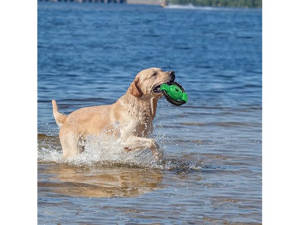 CSDKFCG Squeaky Dog Toys,Steering Wheel Shape