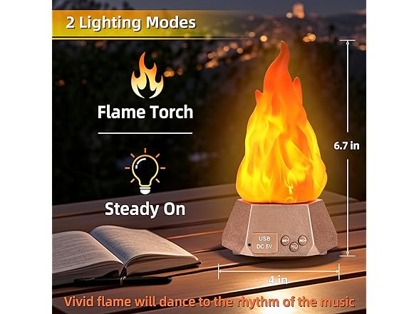 Toodour B0FBVHN4ZZ Flame Lights with Bluetooth Speaker