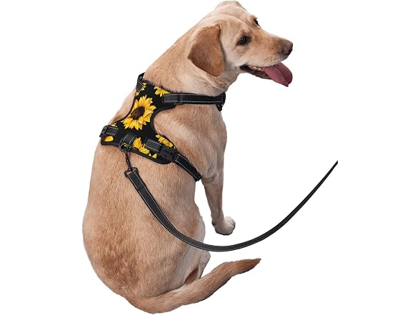 Reflective Vest Harness Autumn Sunflowers Ad