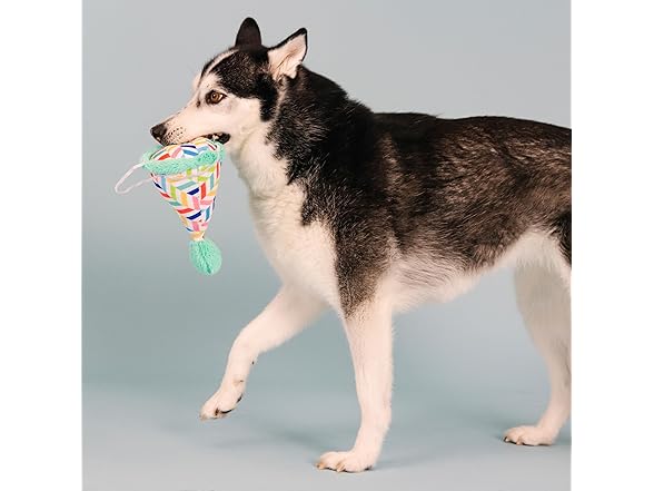 Fringe Studio Plush Dog Toy, Cheers