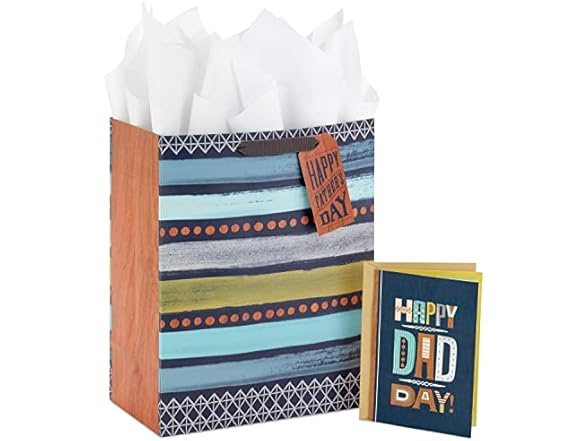 Hallmark 13" Gift Bag w/Card for Dad