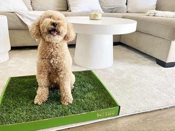DoggieLawn Real Grass Puppy Pee Pads- 24 x 16