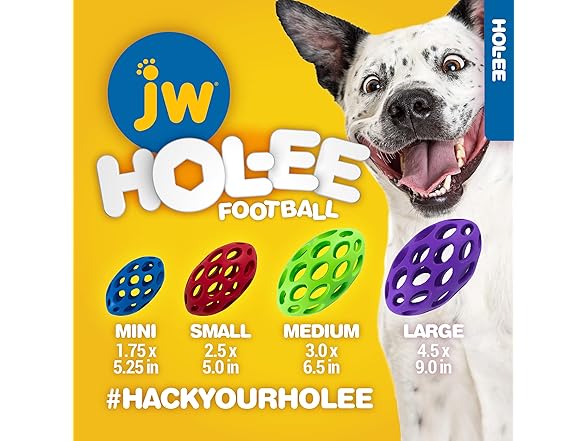 JW Pet Hol-ee Water Bottle Dog Toy