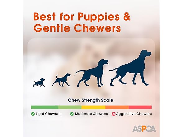 ASPCA 2-Pack Spiky TPR Puppy Teether Bones
