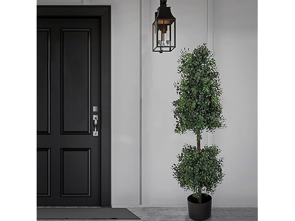 National Tree Company 4 ft Boxwood Tree