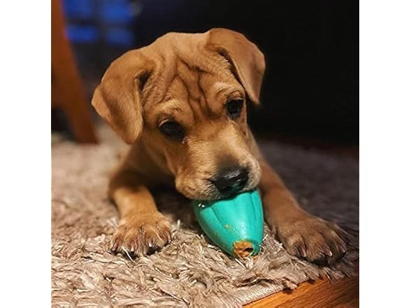 Chew King by Mammoth Premium Treat Dispensing Dog Toy