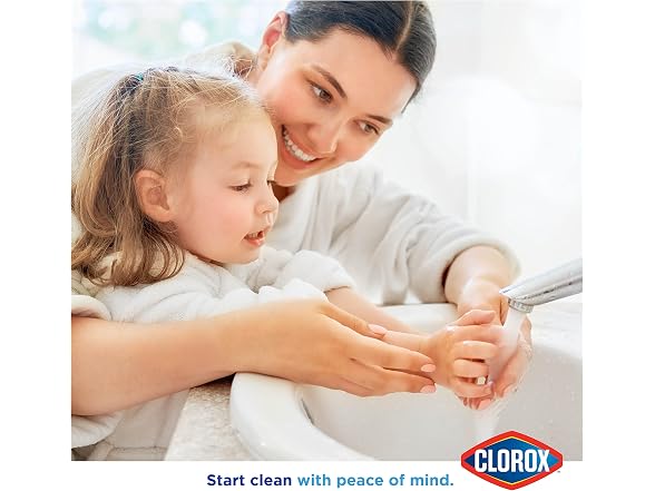 Clorox Antibacterial Hand Soap