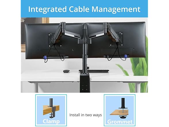 Halter Double Monitor Stand for Desk