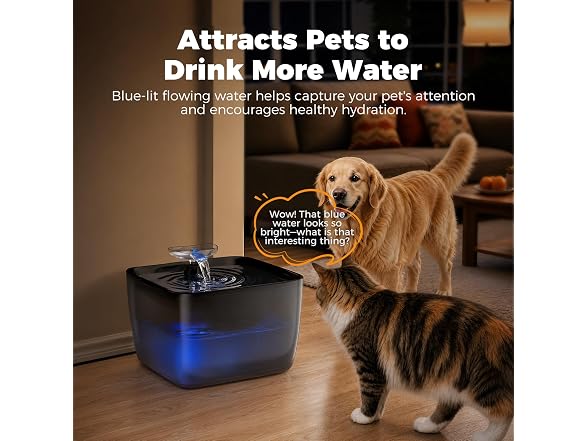 Pet Water Fountain for Large Dogs & Cats