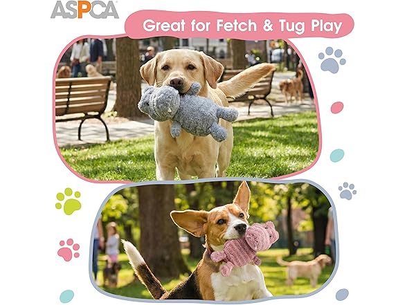 ASPCA Teddy Stripe Fabric Dino and T-Rex Plus