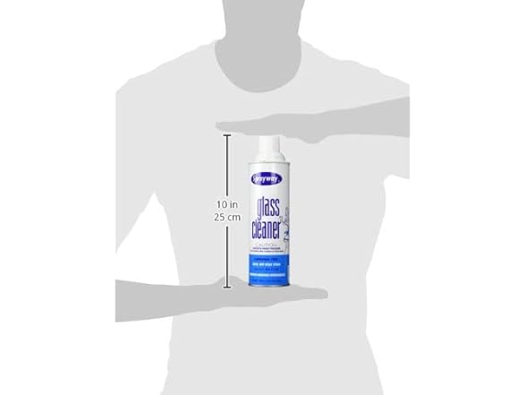 Sprayway Glass Cleaner Aerosol 19oz