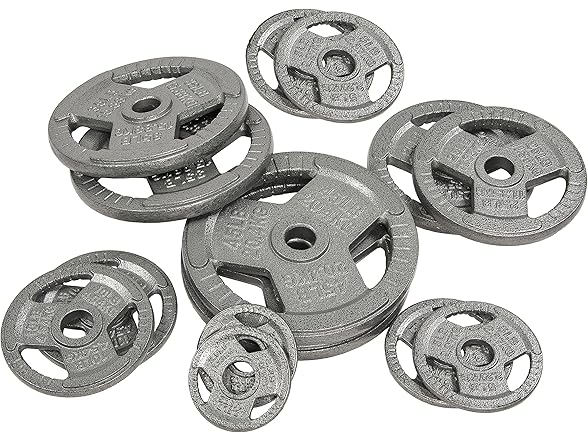 Fitvids Cast Iron Plate Weight 25LB (Pair)