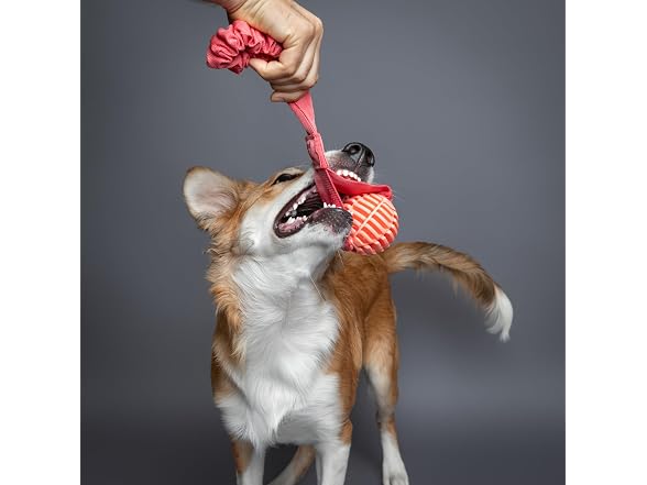 NOAH & PAW Luxury Dog Toy, TPU- Sling, Pink