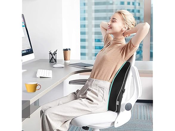 Memory Foam Lumbar Support Pillow
