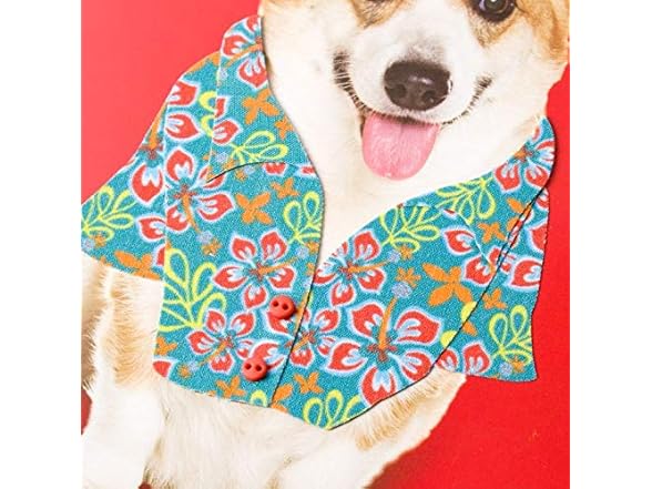 Papyrus Welsh Corgi in Hawaiian Shirt Father's