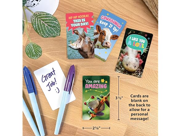 Teacher Created Resources Go Wild Animals Encouragement Cards