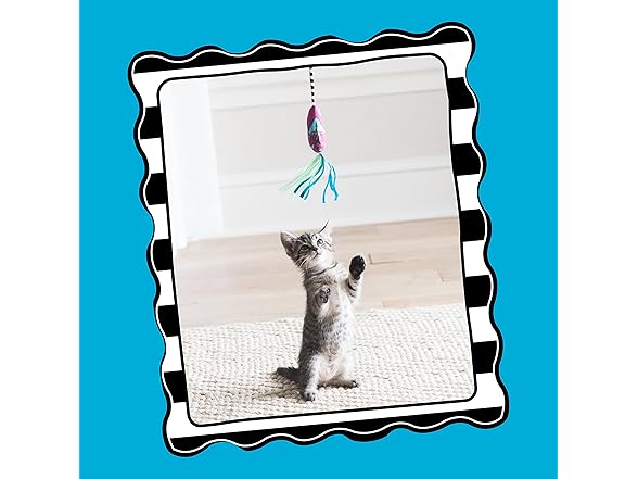 Worm Wand Organic Catnip Interactive Toy