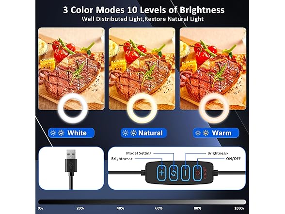 Overhead Phone Stand with Ring Light