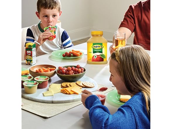 Motts No Sugar Added Applesauce Pack of 8