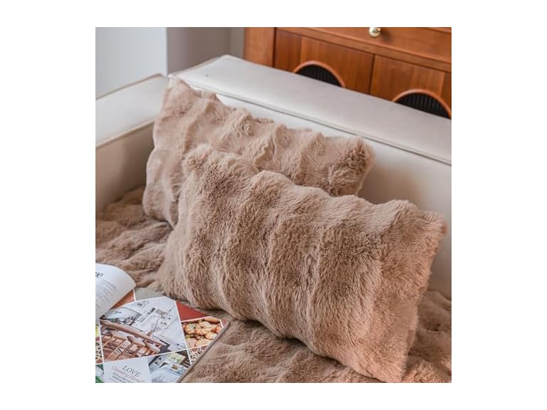 Cozy Faux Fur Throw Pillow Covers 2 Pack