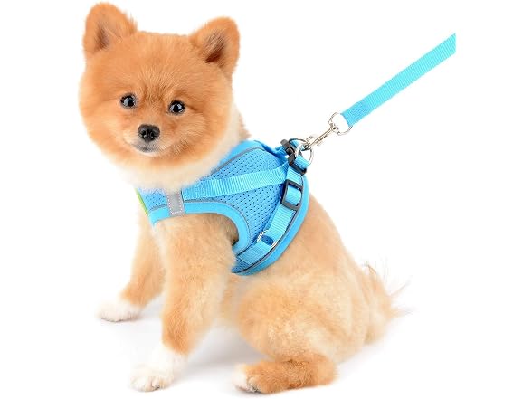 SMALLLEE_LUCKY_STORE Comfort Puppy Harness