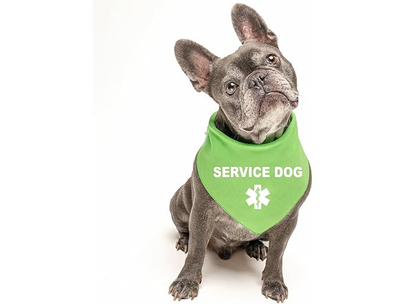 Service Dog Dog Bandana | 100% Cotton Tie Dy