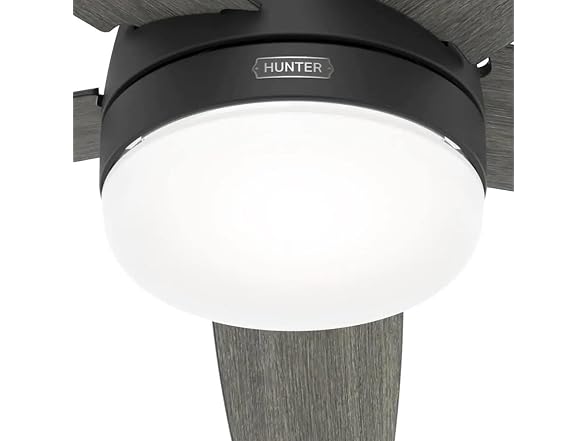 Hunter Fan 60 inch Matte Black Indoor Ceiling Fan with LED