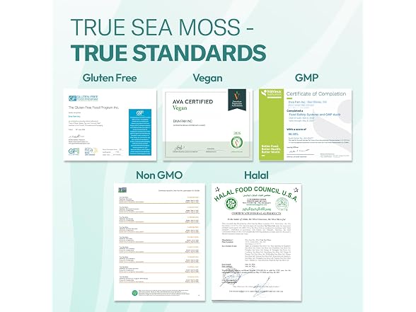 TrueSeaMoss 5-in-1 Immune Support Sea Moss Gel 16oz