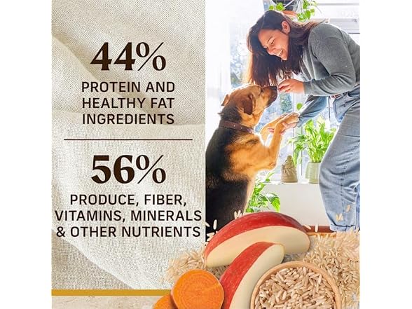 Merrick Healthy Grains Wholesome and Natural Kibbl