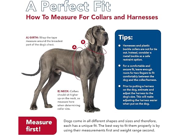 Coastal Pet Comfort Soft Wrap Adjustable Dog