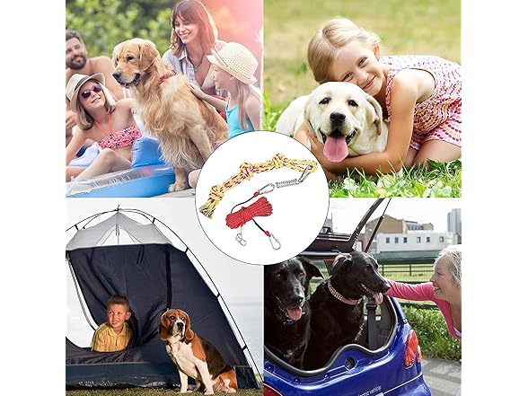 50ft Heavy Duty Dog Tie Out System