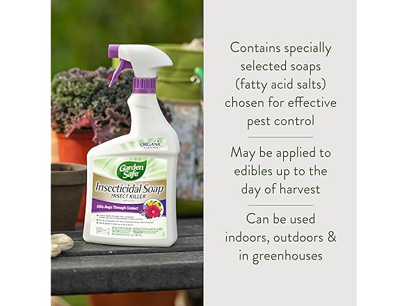 Garden Safe Brand Insecticidal Soap Insect Killer, 3PK