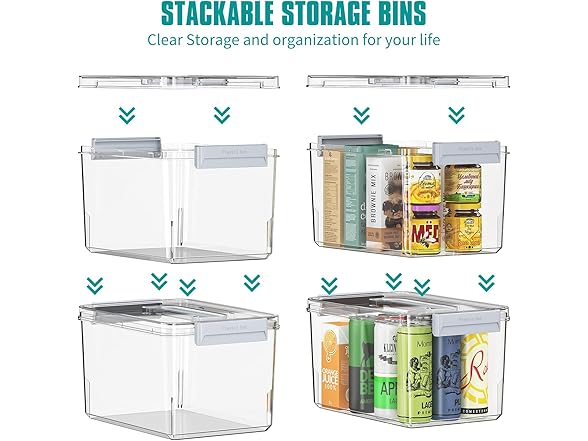 Plastic Storage Bins with Lids