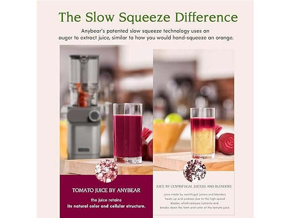 Anybear Cold Press Juicer