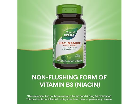 Nature's Way Niacinamide 500mg, 100ct