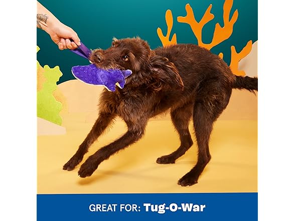 Barkbox Manny Ray Dog Toy | Plush