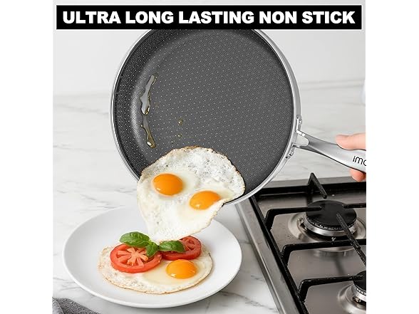 12" Stainless Steel Frying Pan with Lid