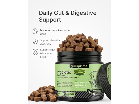Probiotics for Dogs
