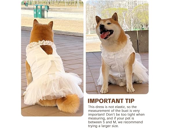Formal Dog Dresses for Large Dogs White Dog
