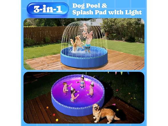 Pawtners Foldable Kiddie Pool