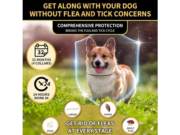 Flea & Tick Collar for Dogs 4-Pack