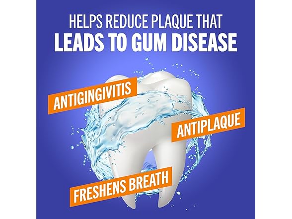 Therabreath Healthy Gums Mint Rinse 16oz