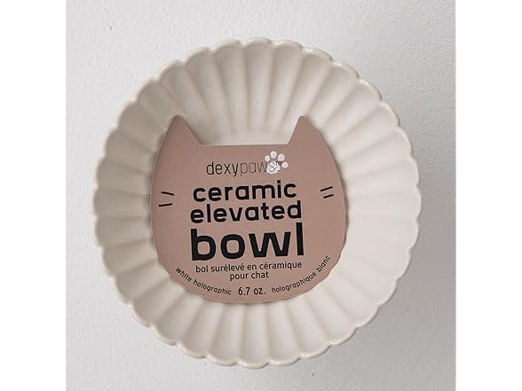 Dexypaws: Elevated Ceramic Bowl for Cats